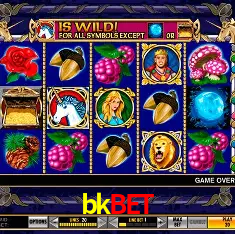 bkbet Rio de Janeiro - Bonus Terms